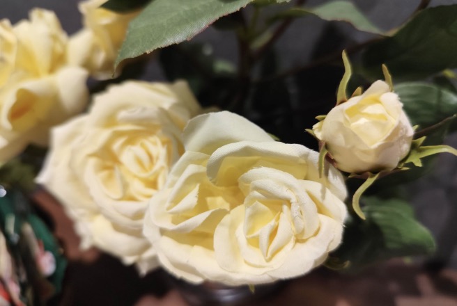 まどか左岸こころクリニック｜江東区 心療内科